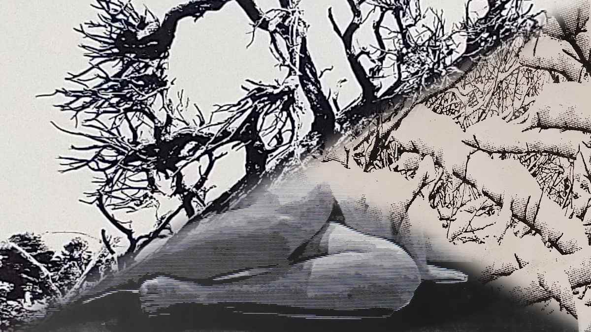 Lost in Brush by dennis gordon 