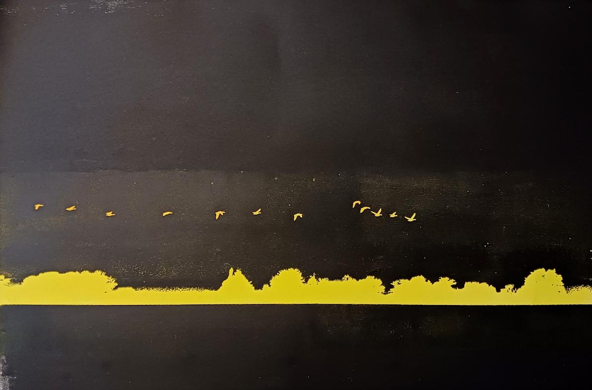 Night Flock by dennis gordon, Image 2.