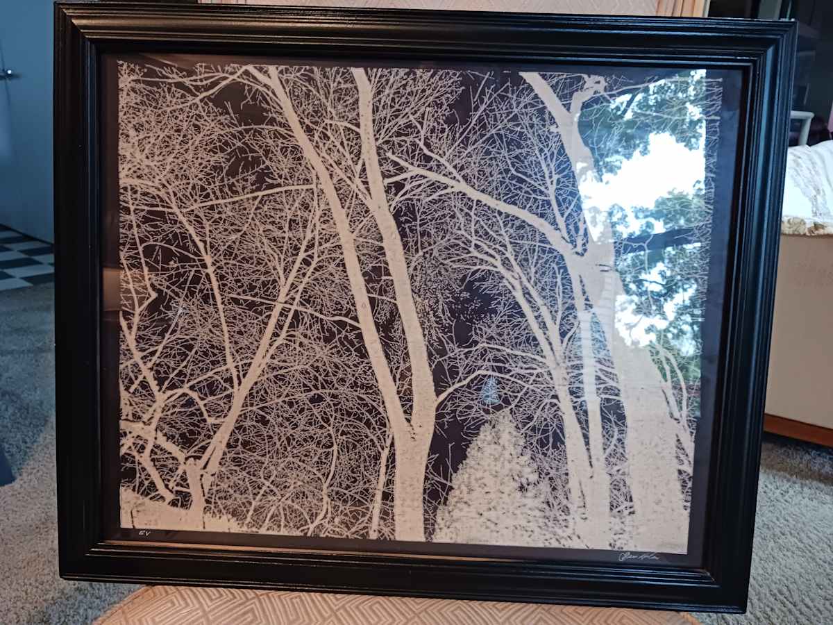 Night Time Winter View by dennis gordon 