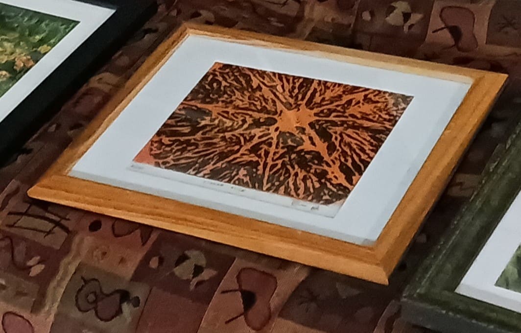Orange Slice by dennis gordon, Image 1.