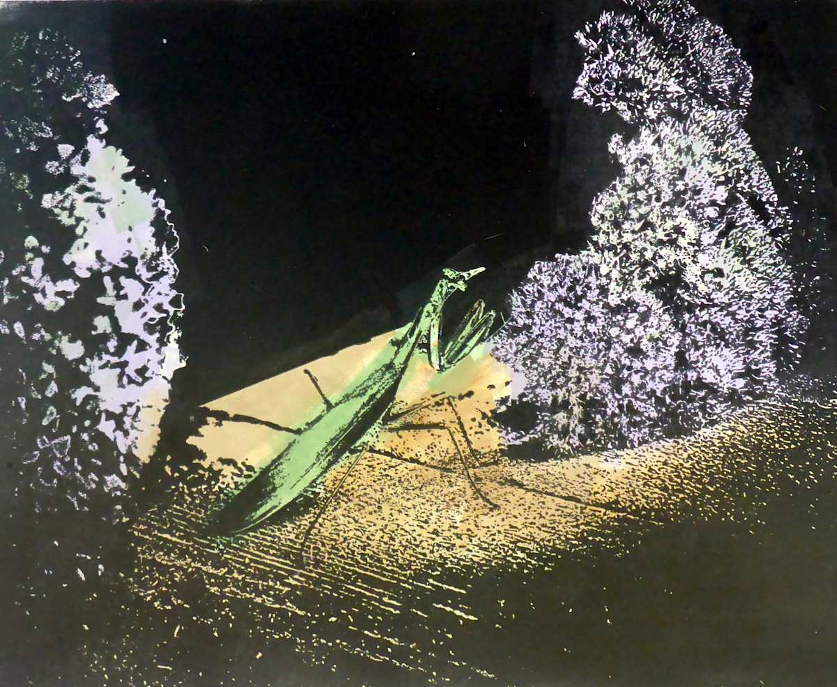 Praying Mantis by dennis gordon, Image 4.