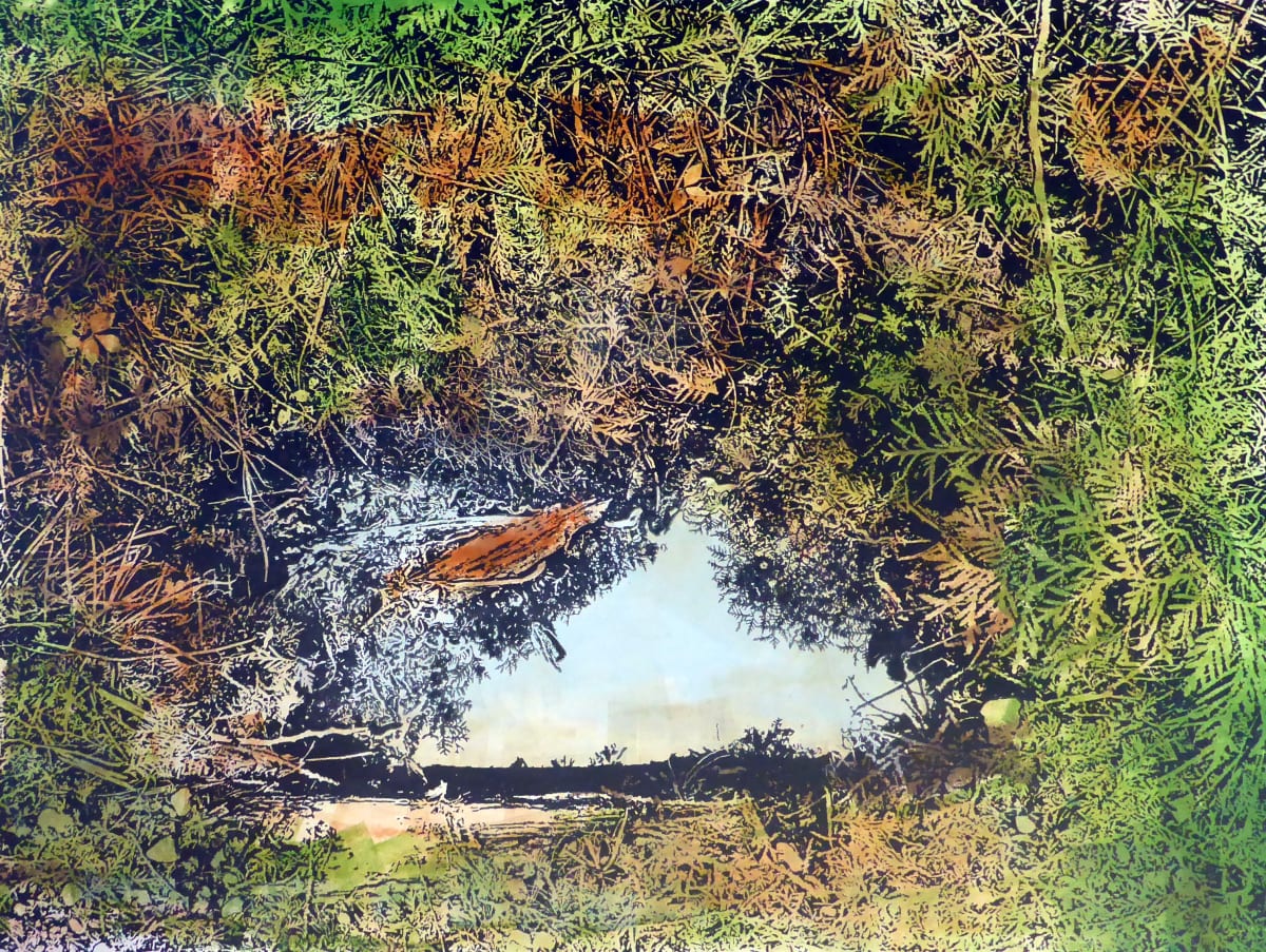 Puddle Reflections by dennis gordon 