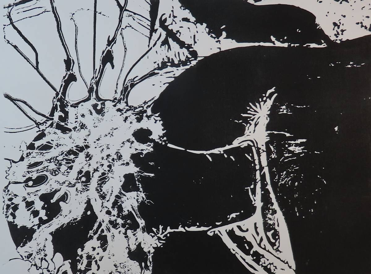 Rear Entry Tendrils B&W by dennis gordon, Image 1.