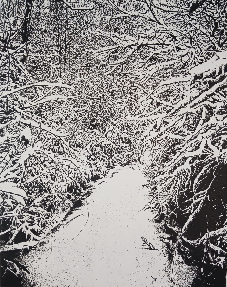 Snowy Path by dennis gordon 
