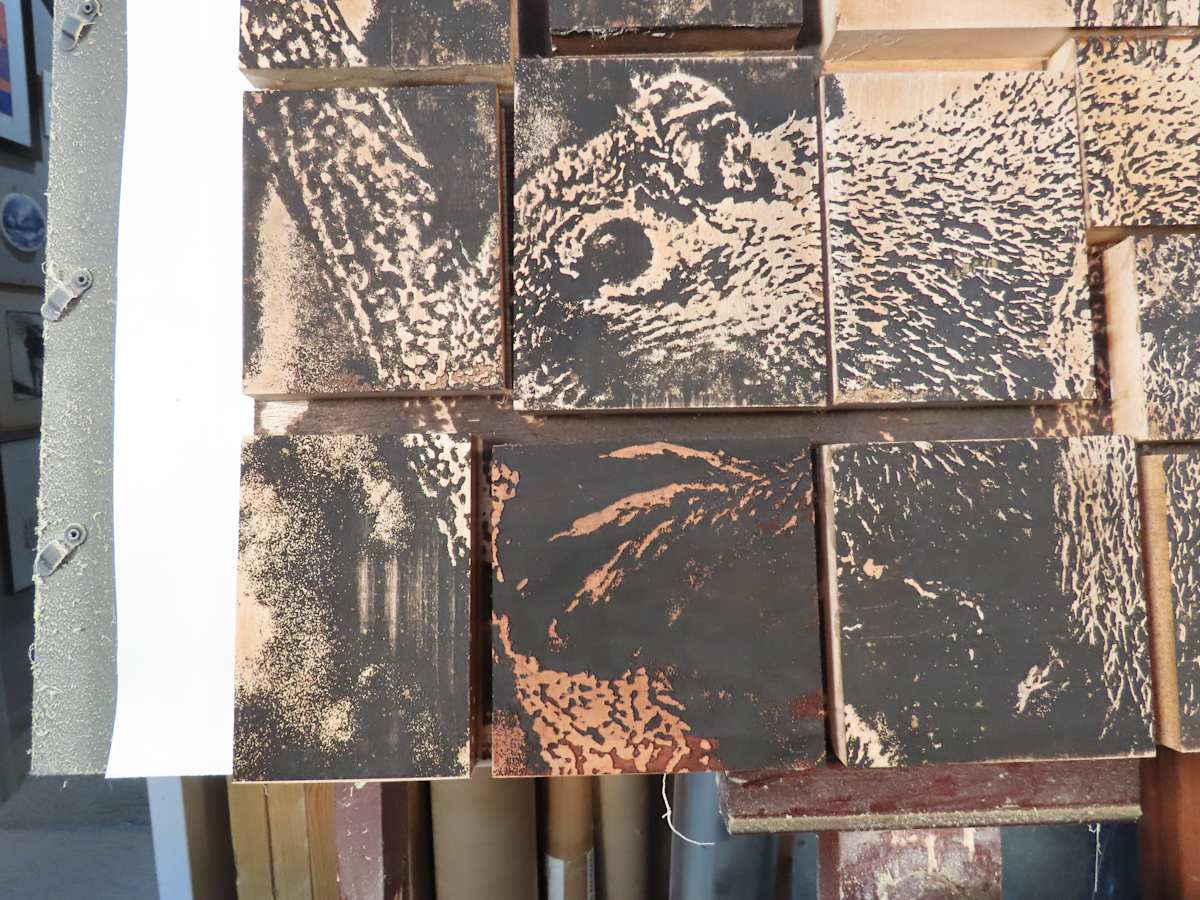 Squirrel Wood Blocks by dennis gordon 