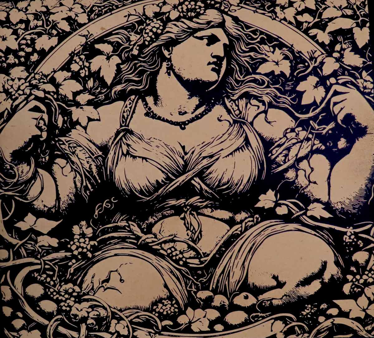 Vine Queen II  (two copies submitted) by dennis gordon 