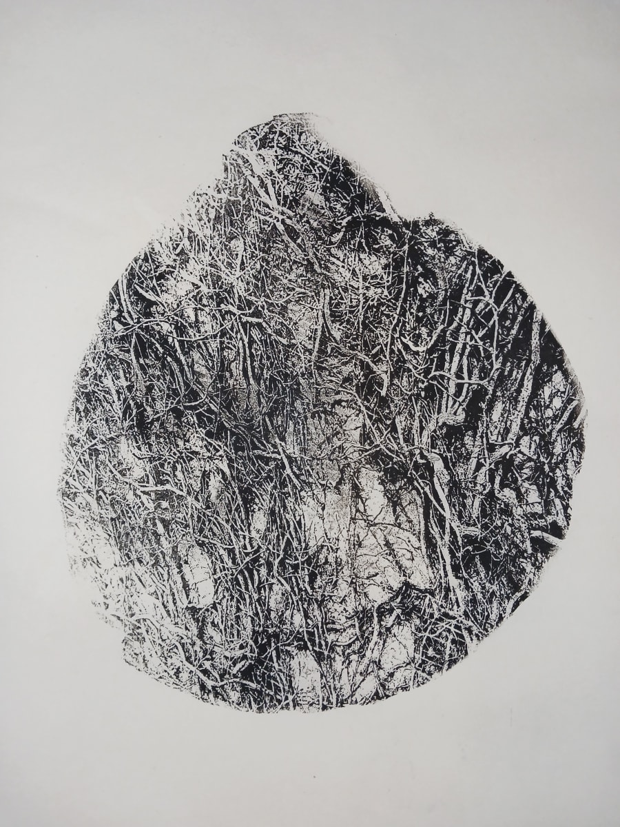 Vines on a Stump by dennis gordon 