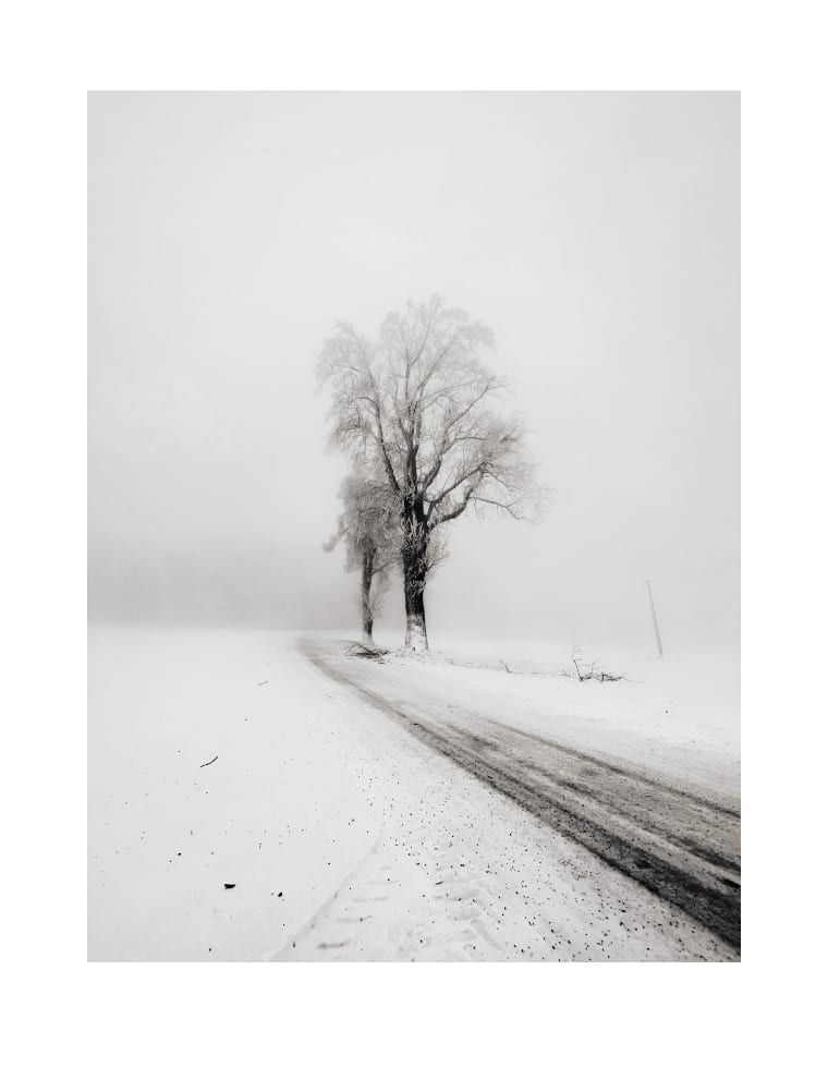 Tree by the road / Strom u cesty by Martin Slavíček  Image: All copyrights, including use of artwork image and rights of reproduction, are fully retained by the Martin Slavíček.