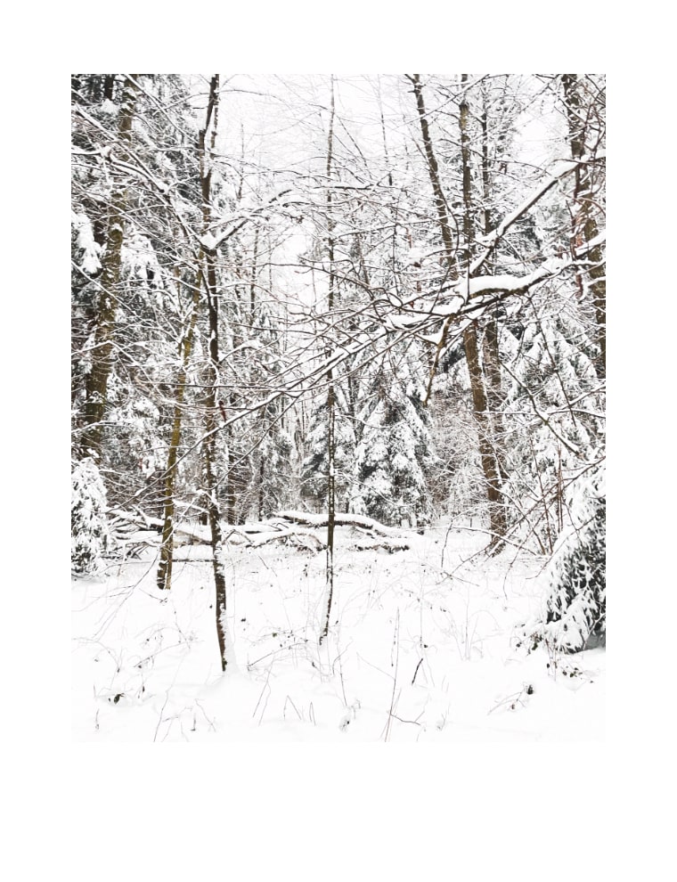 Winter idyll / Zimní idylka by Martin Slavíček  Image: All copyrights, including use of artwork image and rights of reproduction, are fully retained by the Martin Slavíček.