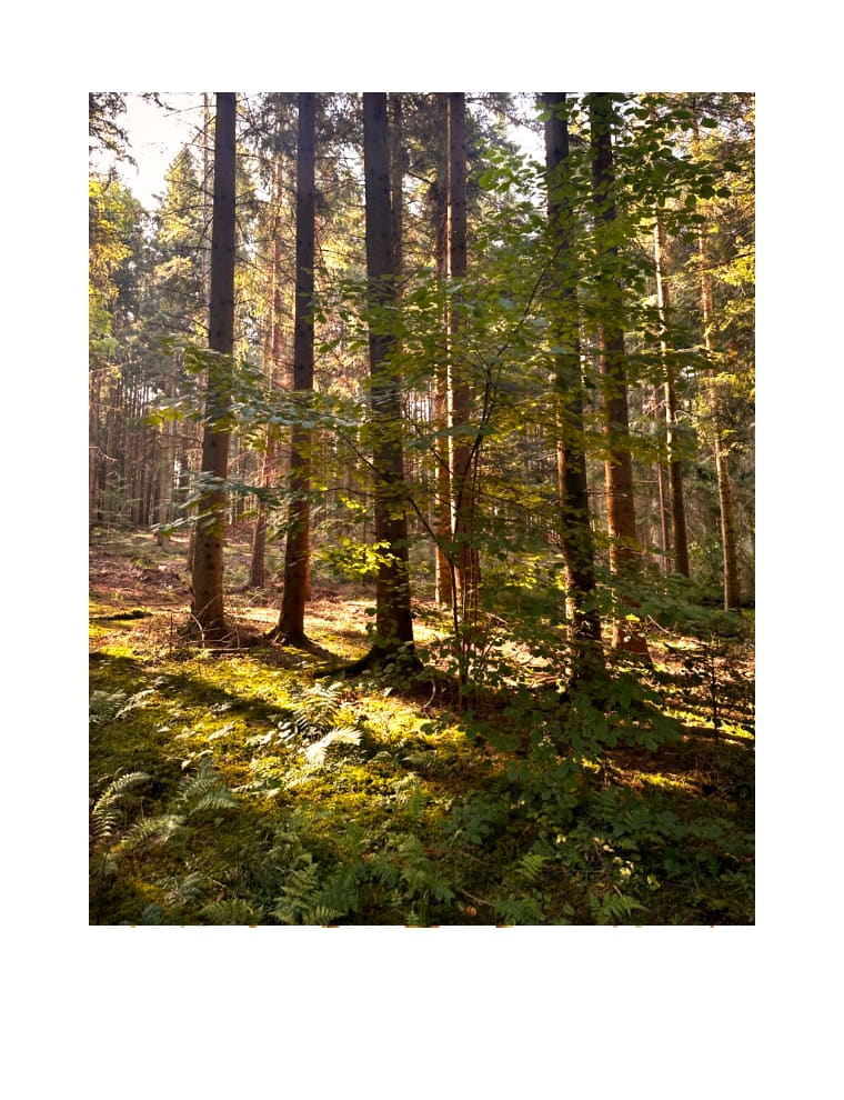 Together  / Společně by Martin Slavíček  Image: All copyrights, including use of artwork image and rights of reproduction, are fully retained by the Martin Slavíček.