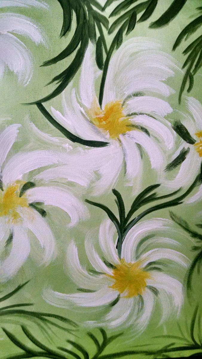 Daisies by Antonia Tamburello  Image: A swirl of daisies