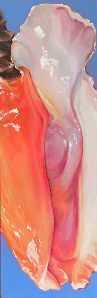 Conch #1 by Jeanne May, Image 1.