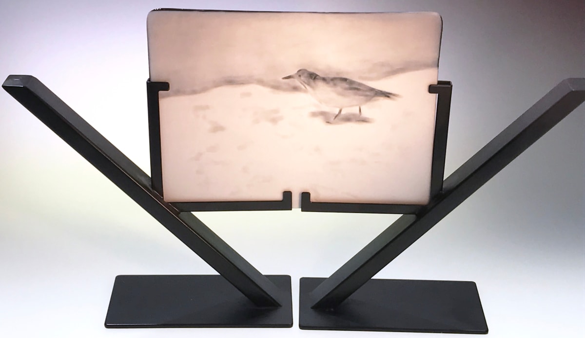 sea bird by LORI Schinelli 