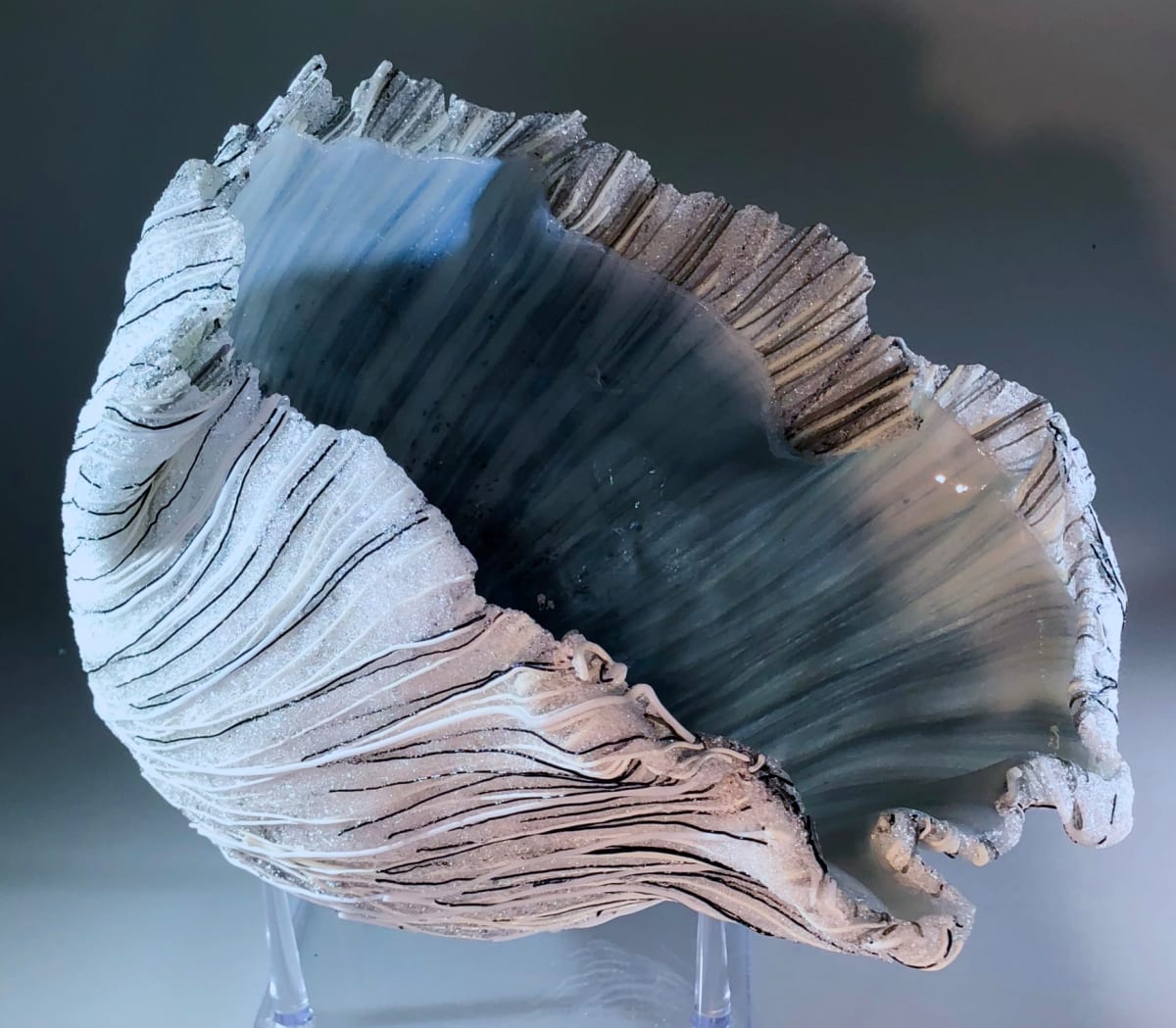 Barnacle by LORI Schinelli, Image 5.