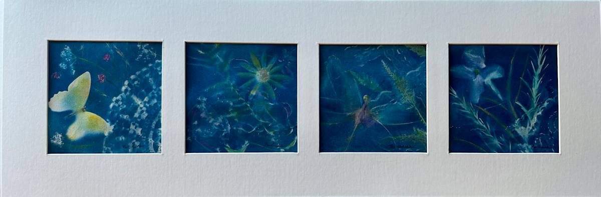 Garden "Snapshots" by Cheryl Ann Boc-Chidester  Image: Garden "Snapshots" (quadriptych)