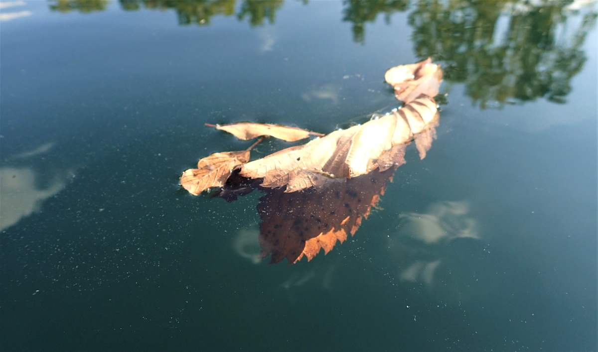 Stillness by Cheryl Ann Boc-Chidester, Image 1.