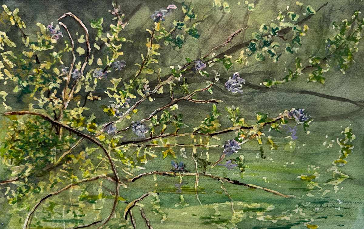 Branches' Reflecting Song by Cheryl Ann Boc-Chidester, Image 1.
