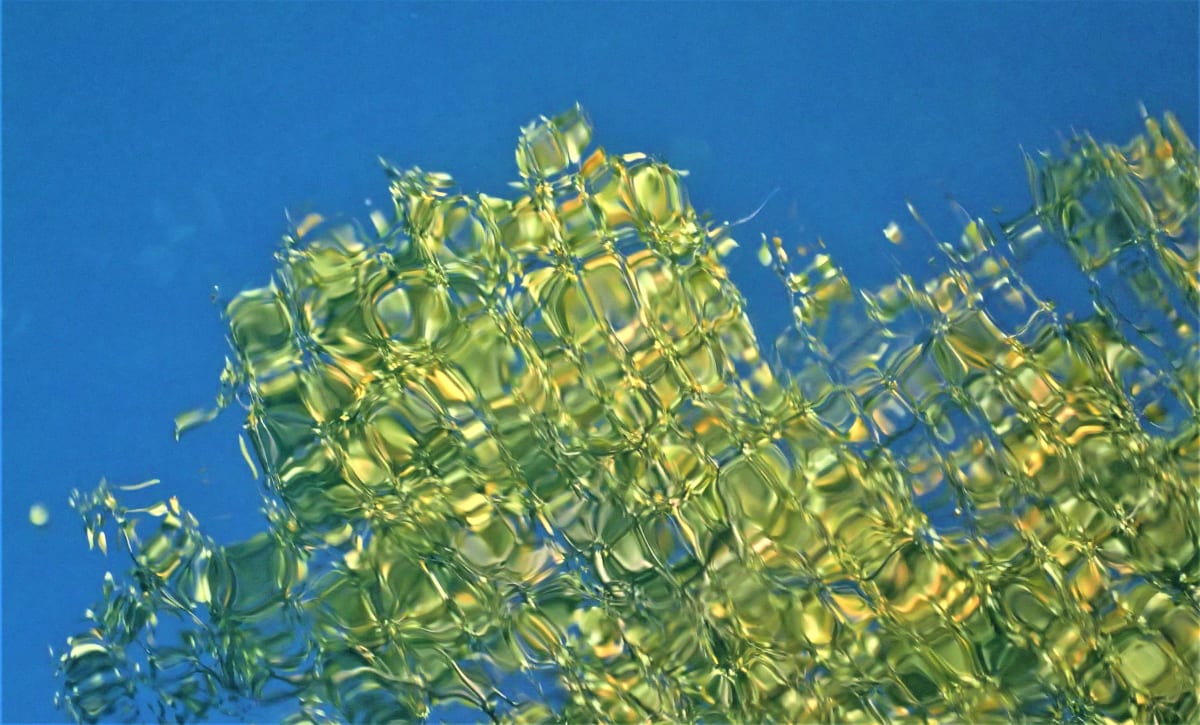 Light and Water Interpreted by Cheryl Ann Boc-Chidester  Image: Light and Water Interpreted - reflection in the water