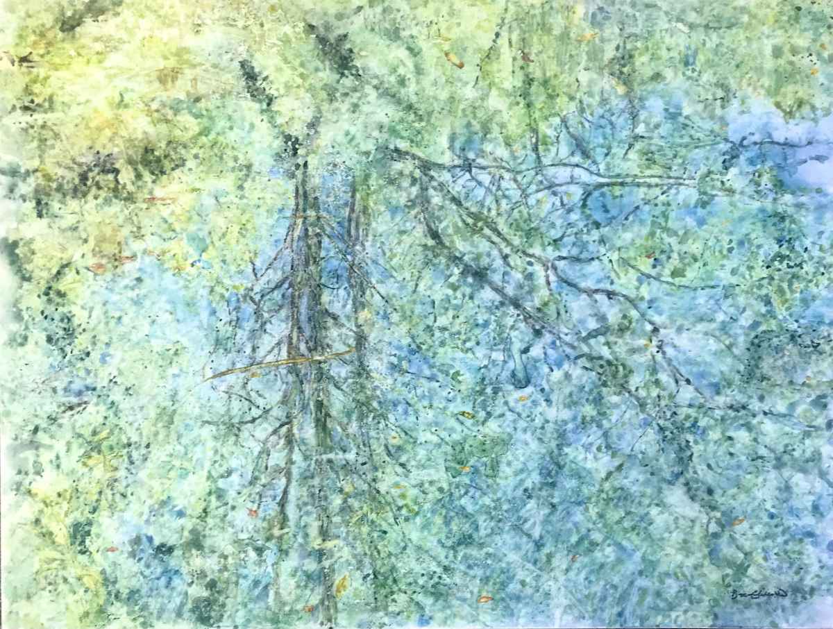 Reflections of an Early Spring by Cheryl Ann Boc-Chidester  Image: Reflections of an Early Spring