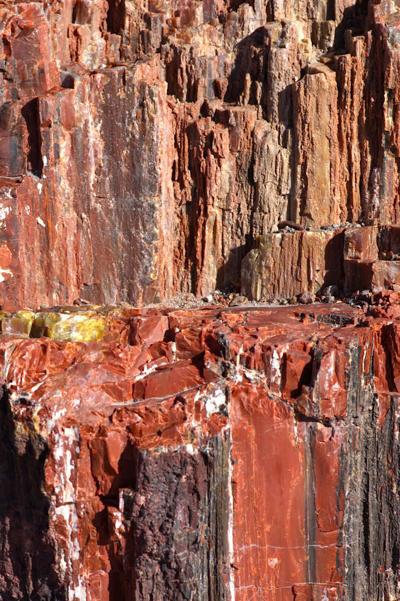 Petrified #1 by Cheryl Ann Boc-Chidester, Image 1.