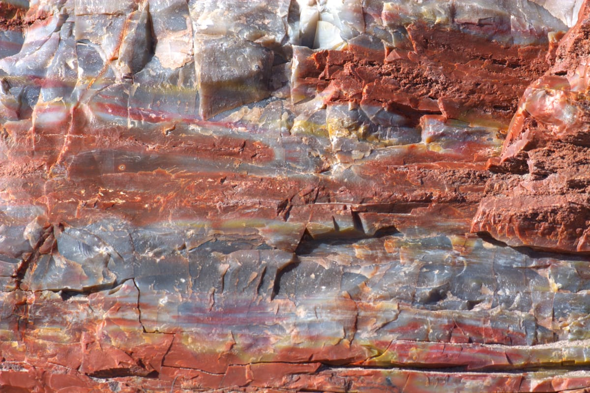 Petrified #2 by Cheryl Ann Boc-Chidester  Image: Petrified (Wood) #2