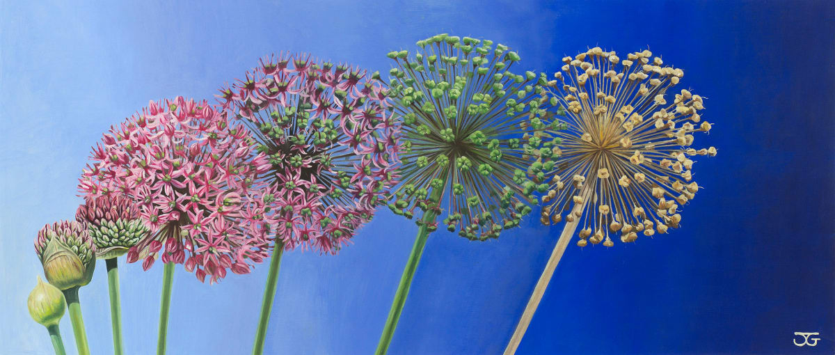 Allium 6/50 by Jackie Gwyther 