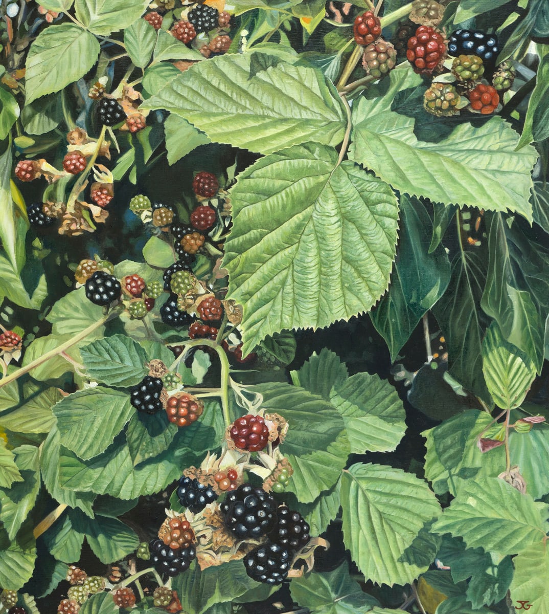 Blackberries 1/50 by Jackie Gwyther 