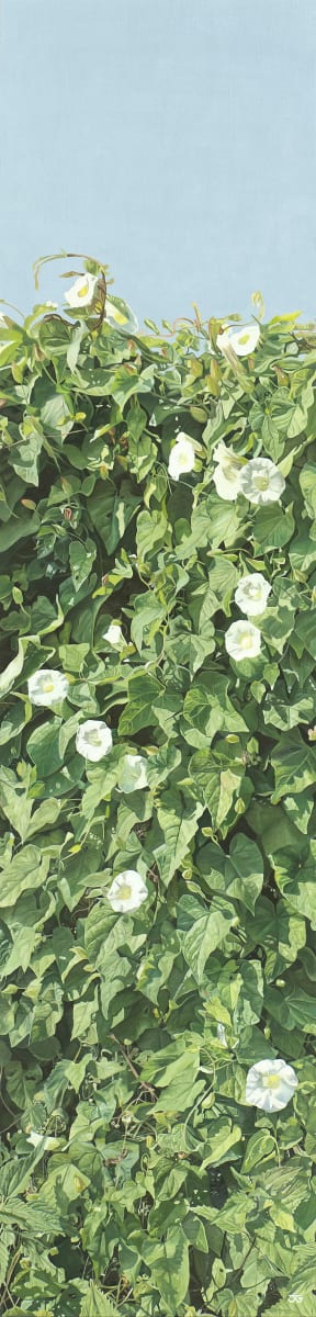 Disregarded Beauty 1/50 by Jackie Gwyther