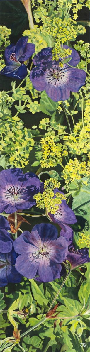 Stars 8/50 by Jackie Gwyther 