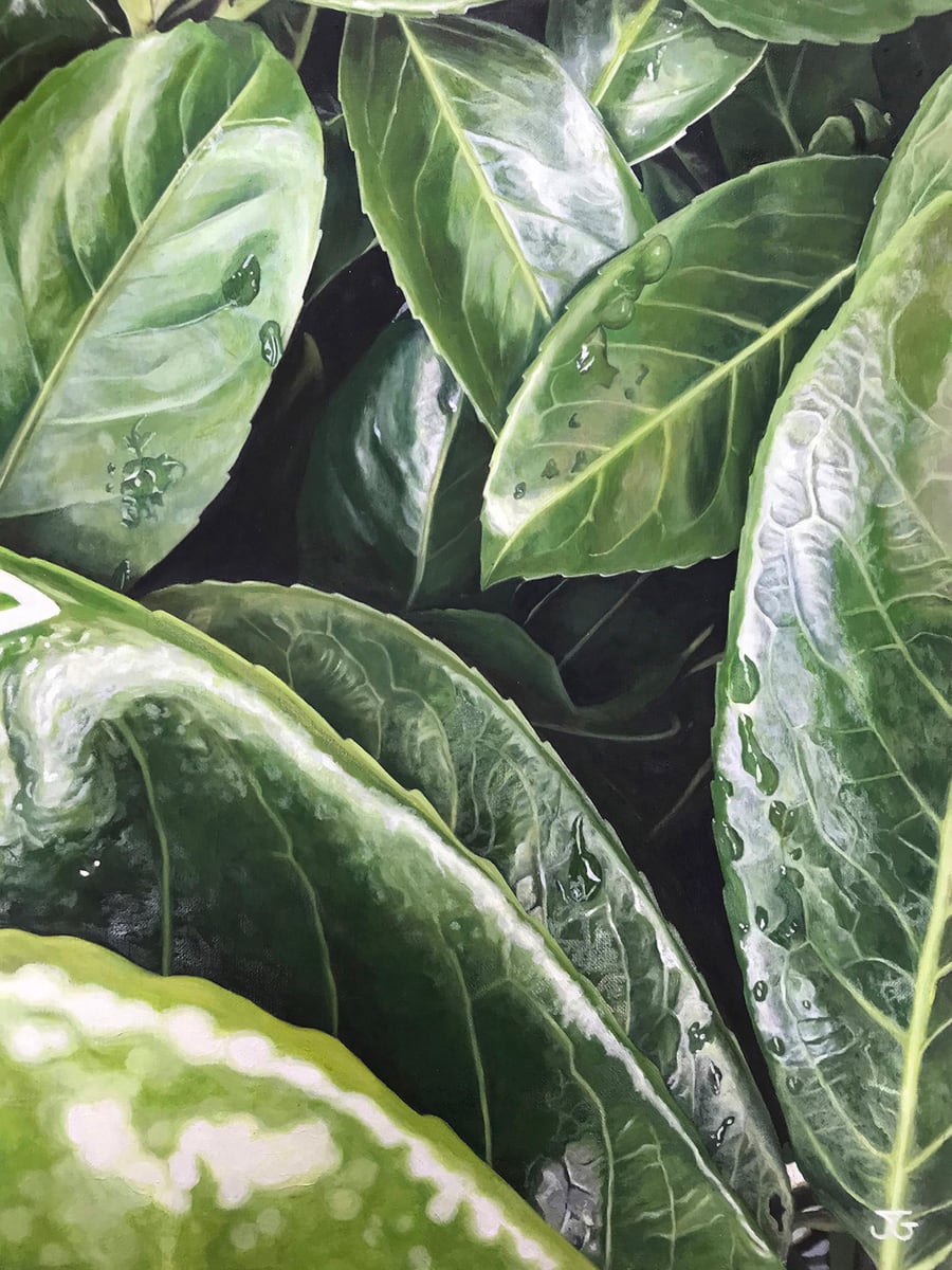 Nature's Secrets by Jackie Gwyther  Image: Nature's Secrets (Image - Jackie Gwyther)