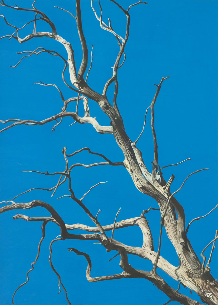 Past Glory 4/50 by Jackie Gwyther