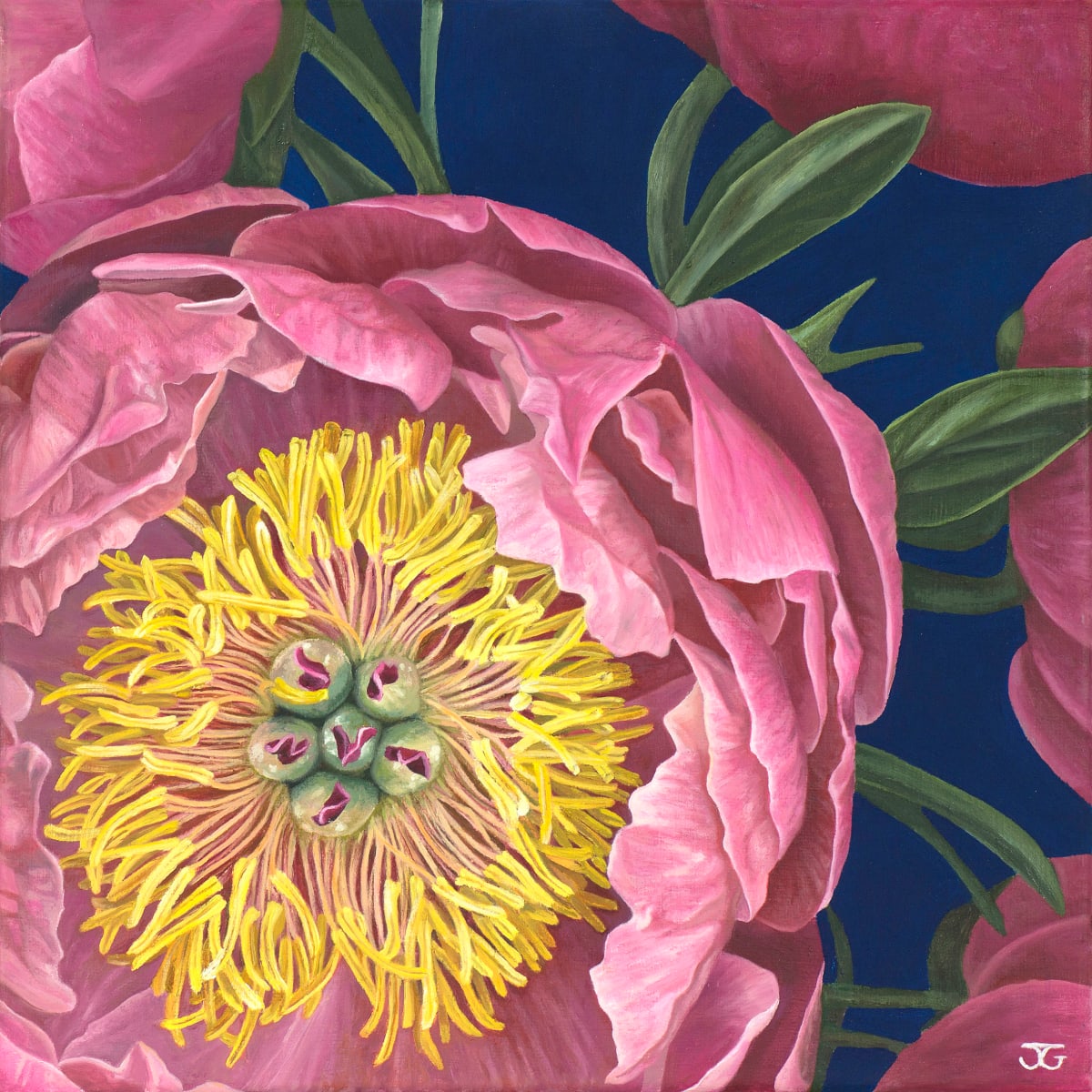 Peony by Jackie Gwyther  Image: Peony