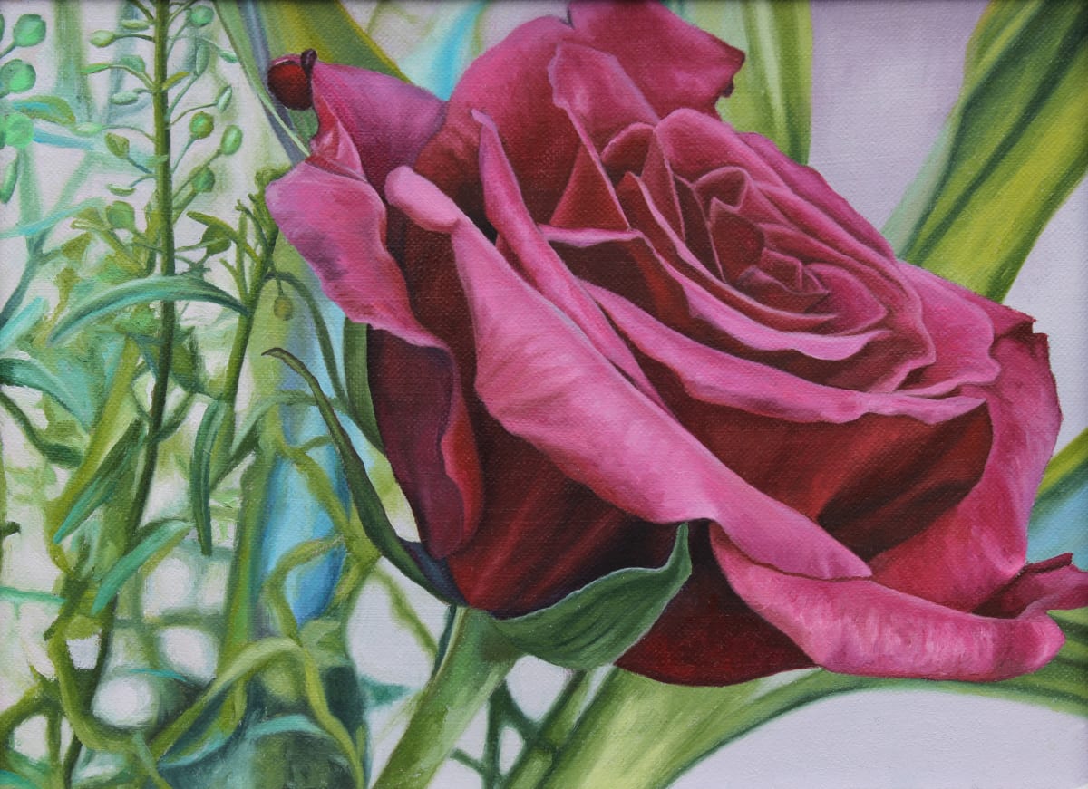 Rose Madder I by Jackie Gwyther  Image: Rose Madder I (Image - JG)