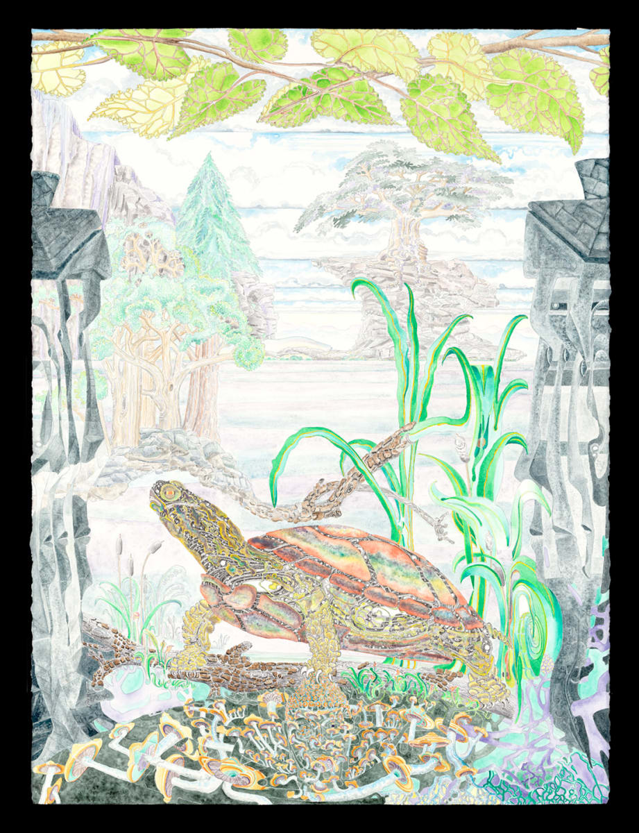 Cosmic Terrapin by David A MacLam, Image 1.