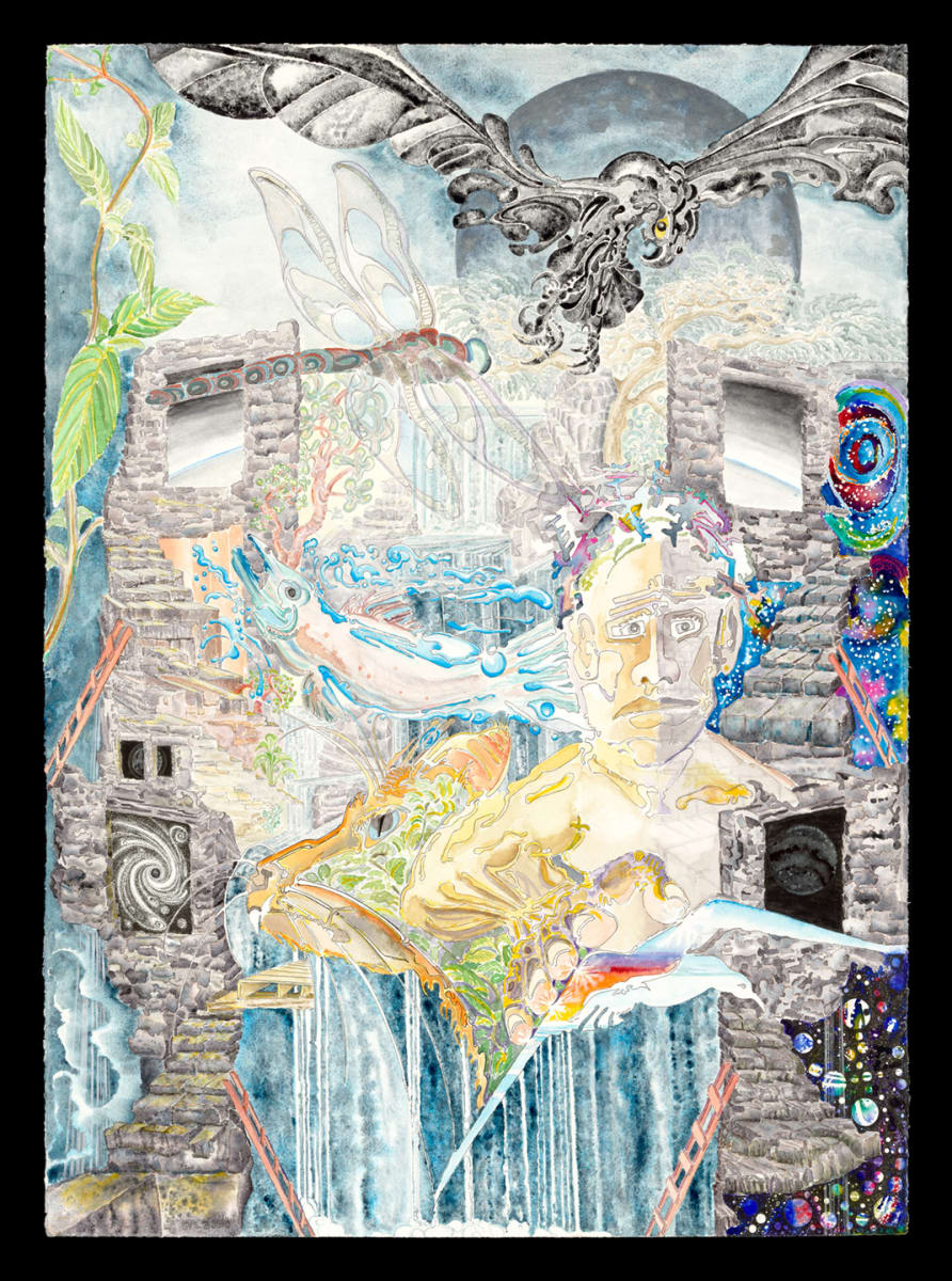 Dragonfly by David A MacLam 