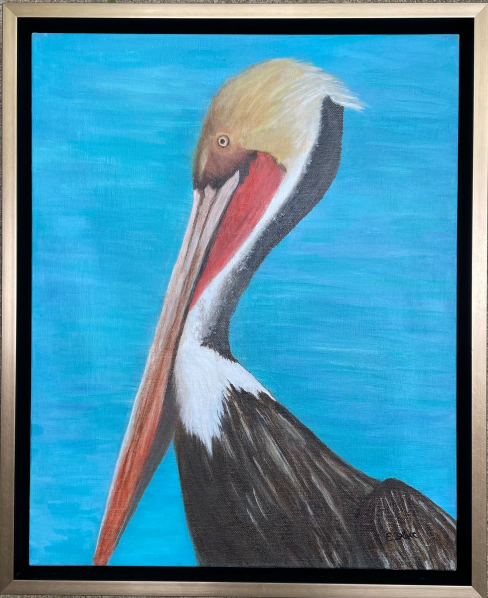 Louisiana Pelican by Elizabeth Flatt 