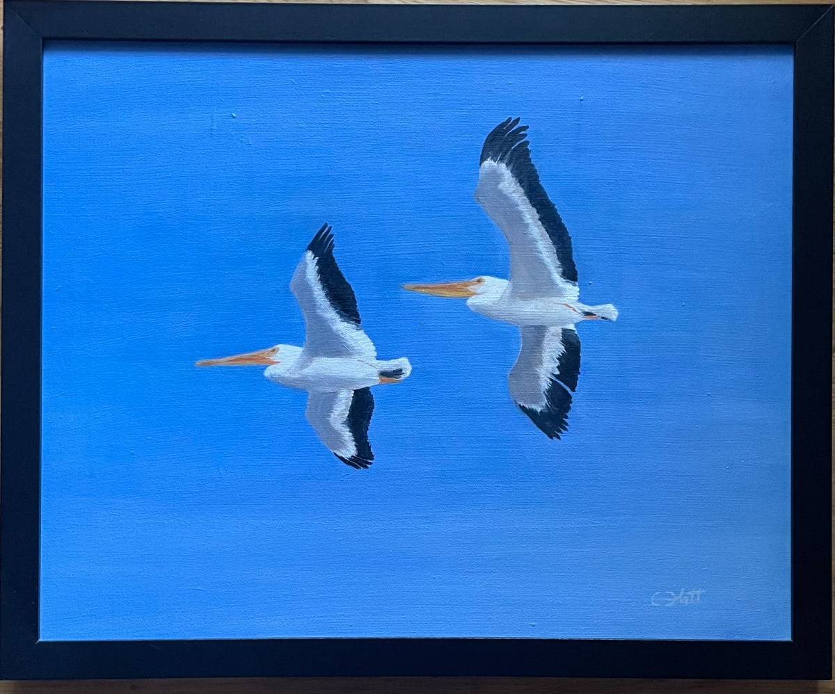 White Pelicans by Elizabeth Flatt 