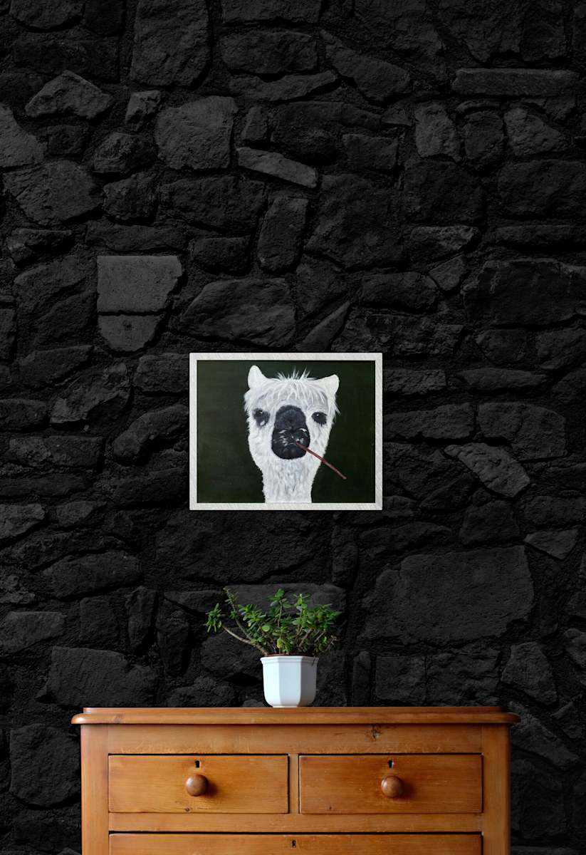 Lenard the Llama by Elizabeth Flatt 