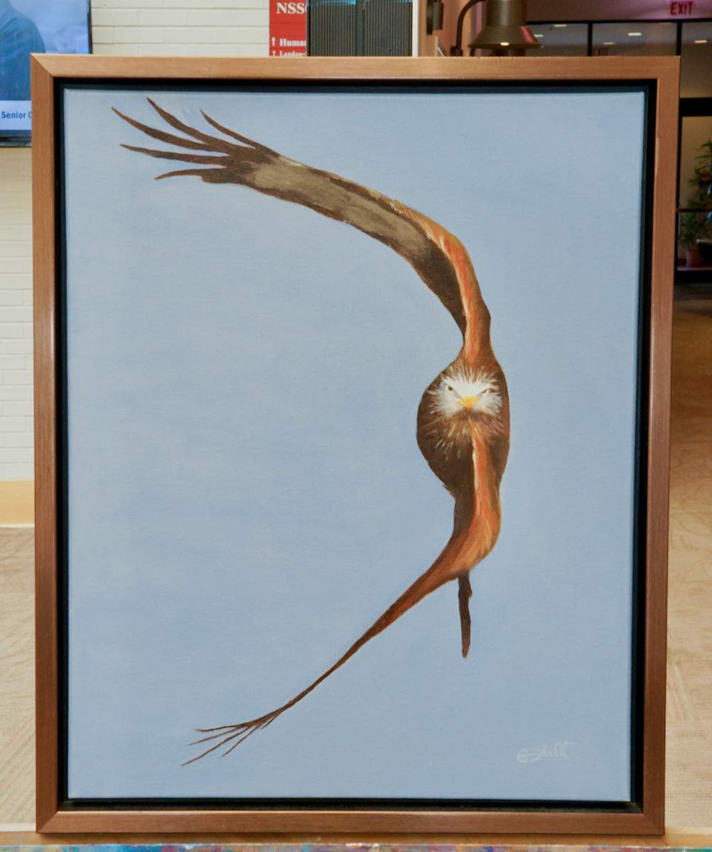 The Hawk by Elizabeth Flatt 