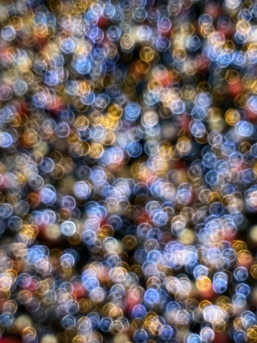 Sparkle Sparkle Stars 6 by Suzi Scott 