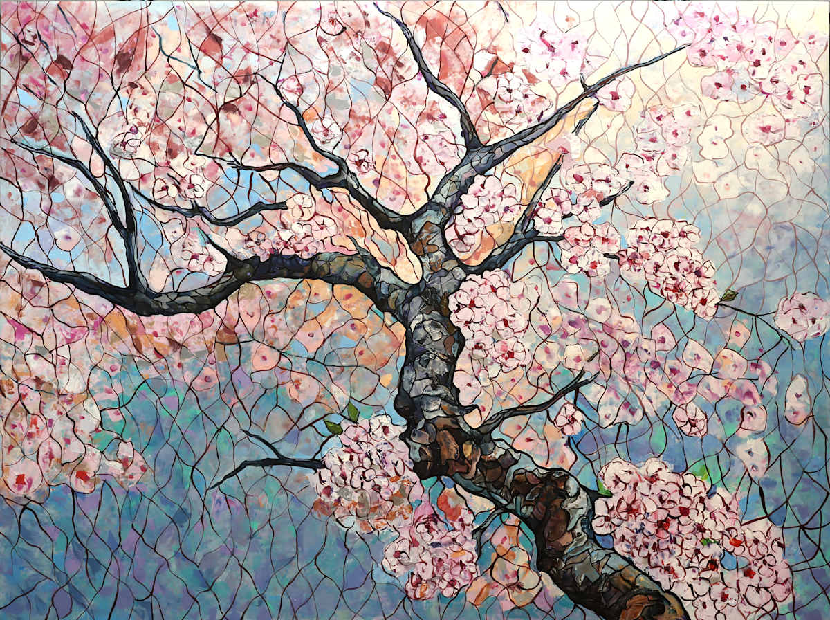 Cherry Tree in Bloom by Craig Barnes 