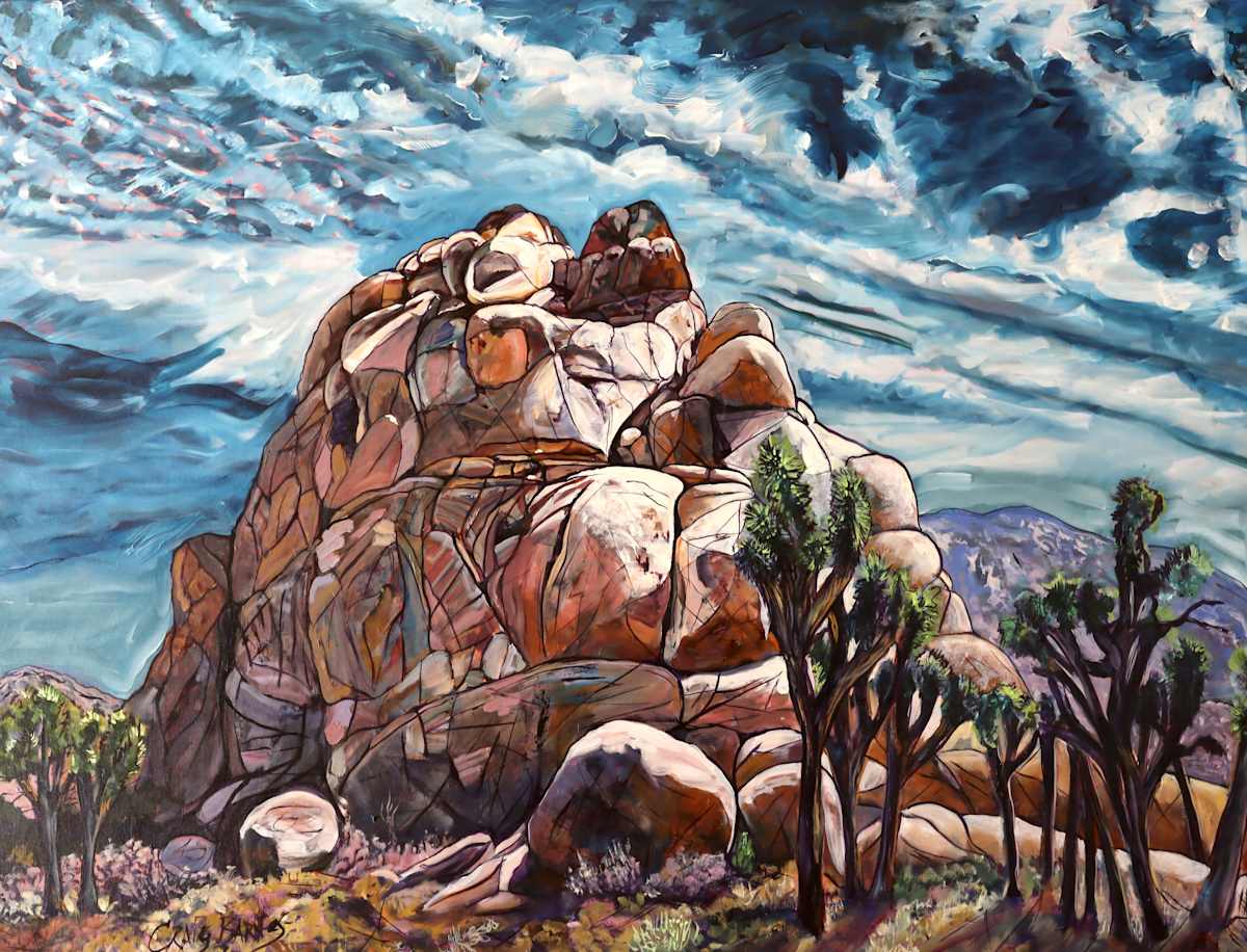 Joshua Tree Dramatic Light #2 by Craig Barnes 