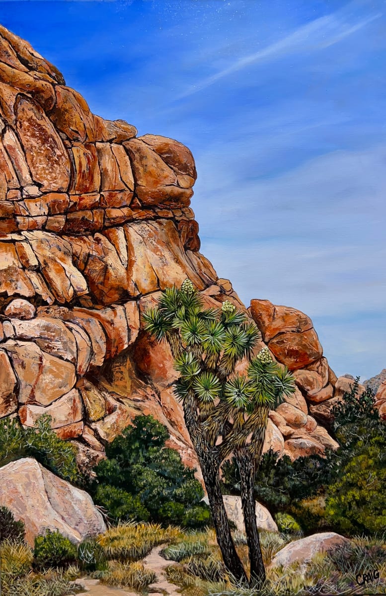 Hidden Valley Trail - Spring 1 by Craig Barnes, Image 1.