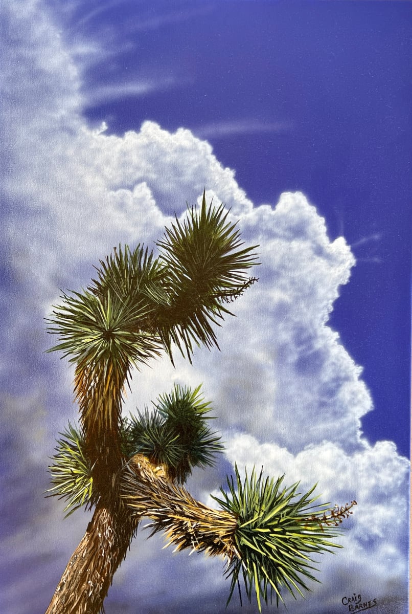 Lone Joshua Tree by Craig Barnes Fine Art 