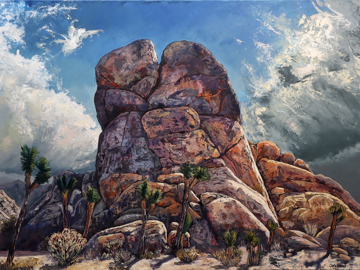 Joshua Tree Dramatic Light #1 by Craig Barnes 