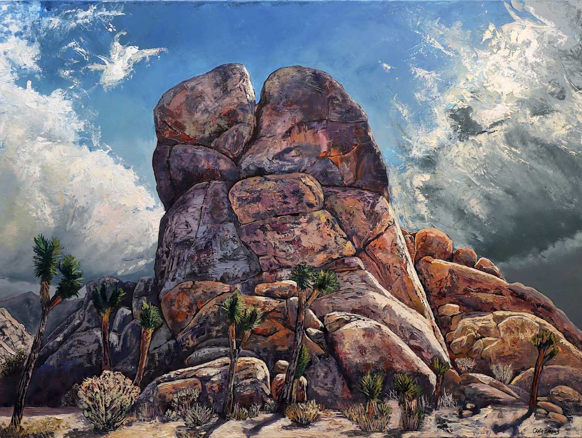 Joshua Tree Dramatic Light #1 by Craig Barnes, Image 1.