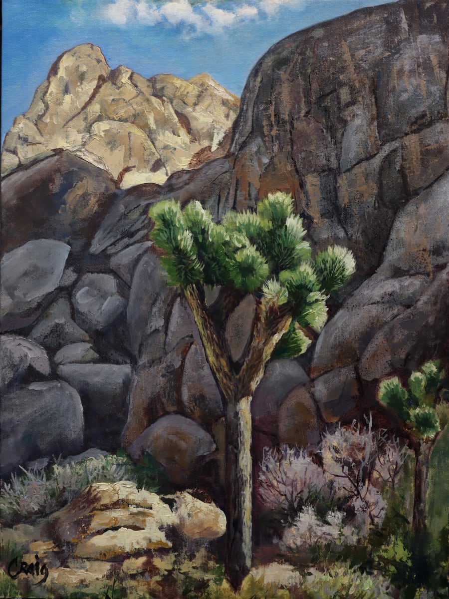 Joshua Tree, Lone Ridge Road #1 by Craig Barnes 