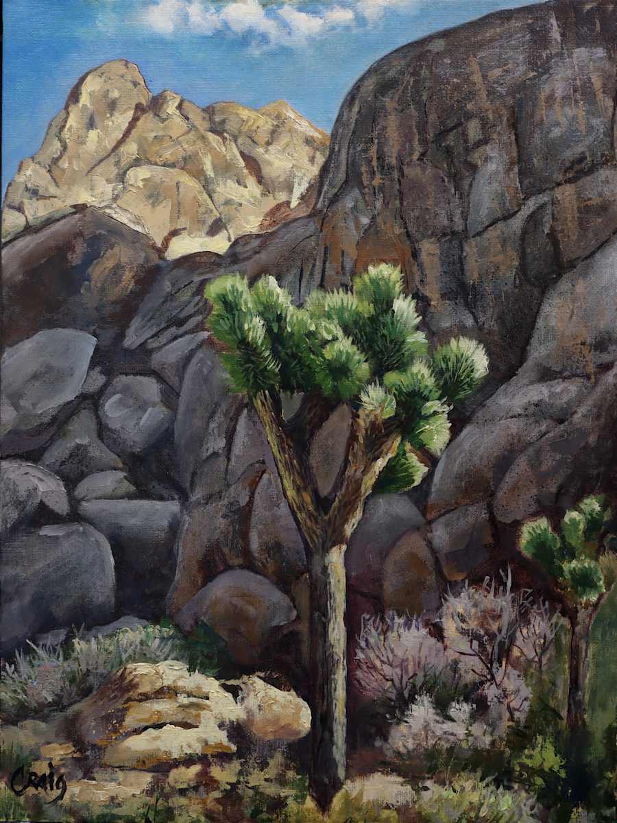 Joshua Tree, Lone Ridge Road #1 by Craig Barnes, Image 1.