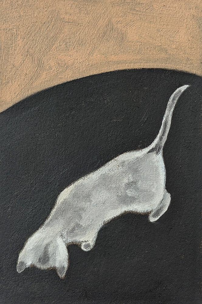 Kitten by Kari Breitigam 