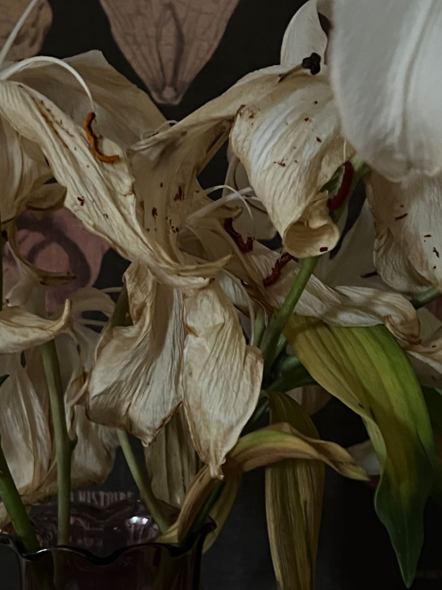 December 12 by Deborah Moss Marris, Image 1.